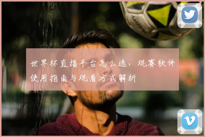 世界杯直播平台怎么选,观赛软件使用指南与观看方式解析