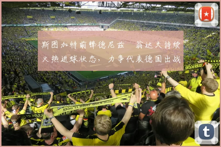 斯图加特前锋德尼兹・翁达夫持续火热进球状态,力争代表德国出战世界杯_对阵_比赛