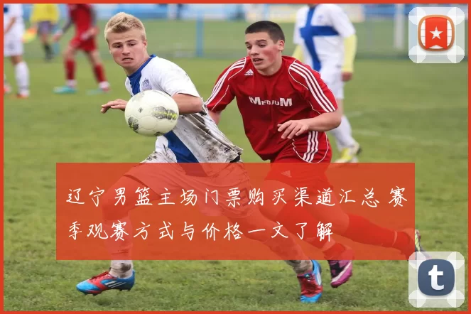 辽宁男篮主场门票购买渠道汇总 赛季观赛方式与价格一文了解