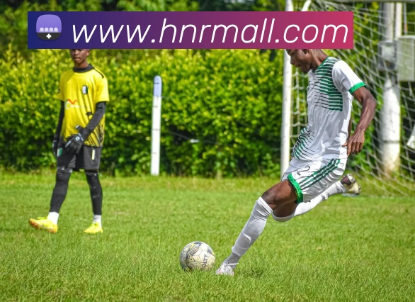 爱游戏ayx体育平台生态图